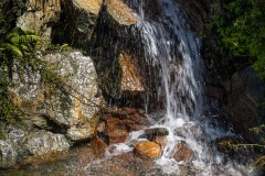 AlanKlughammer.com_20250720-_AZ73682