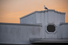 AlanKlughammer.com_20250803-_AZ73802