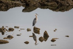 AlanKlughammer.com_20250803-_AZ73887