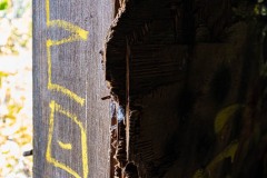 AlanKlughammer.com_20250809-_AZ74035