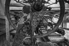 AlanKlughammer.com_20250809-_AZ74060