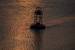AlanKlughammer.com_20250907-_AZ74238
