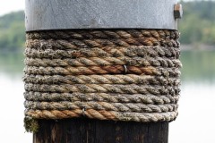 AlanKlughammer.com_20250908-_AZ74254