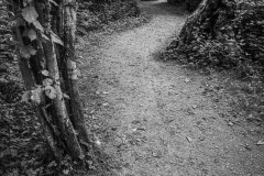 AlanKlughammer.com_20250908-_AZ74262