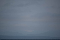 AlanKlughammer.com_20250910-_AZ74353