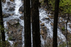 AlanKlughammer.com_20250911-_AZ74405
