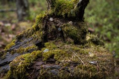 AlanKlughammer.com_20250911-_AZ74416