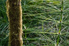 AlanKlughammer.com_20250911-_AZ74446