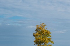 AlanKlughammer.com_20250912-_AZ74453