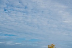 AlanKlughammer.com_20250912-_AZ74454