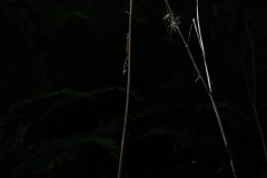 AlanKlughammer.com_20250913-_AZ74617