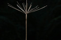AlanKlughammer.com_20250913-_AZ74619
