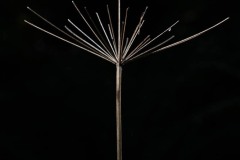 AlanKlughammer.com_20250913-_AZ74621