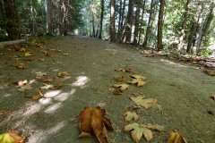AlanKlughammer.com_20250913-_AZ74651