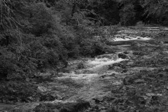 AlanKlughammer.com_20250915-_AZ74726