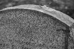 AlanKlughammer.com_20251011-_8506325-2