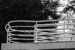 AlanKlughammer.com_20251019-_8506344