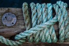 AlanKlughammer.com_20251019-_8506353