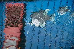 AlanKlughammer.com_20251019-_8506396