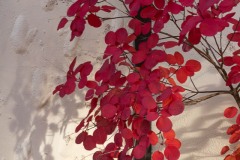 AlanKlughammer.com_20251020-_AZ74921