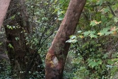 AlanKlughammer.com_20251020-_AZ74933