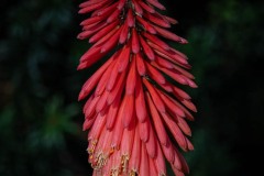 AlanKlughammer.com_20251020-_AZ74958