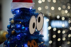 AlanKlughammer.com_20251129-_AZ75040