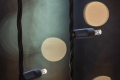 AlanKlughammer.com_20251129-_AZ75054