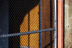 AlanKlughammer.com_20251229-_AZ75175