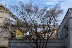 AlanKlughammer.com_20251229-_AZ75196