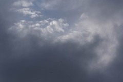 AlanKlughammer.com_20251230-_AZ75245