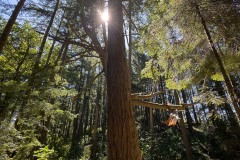 AlanKlughammer.com_IMG_2230