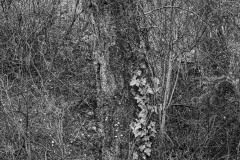 AlanKlughammer.com_untitled-shoot-70767