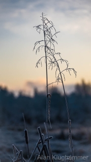 AlanKlughammer.com_20260125-_AZ75439