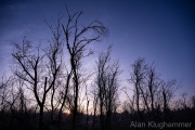 AlanKlughammer.com_20260125-_AZ75446