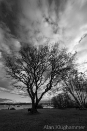 AlanKlughammer.com_20260308-_AZ75948