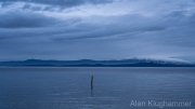 AlanKlughammer.com_20260403-_AZ76154