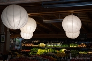 AlanKlughammer.com_20260406-_AZ76476