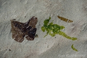 AlanKlughammer.com_20260406-_AZ76517