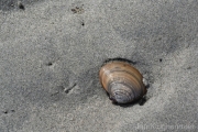 AlanKlughammer.com_20260406-_AZ76529