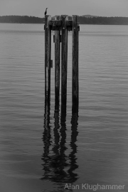 AlanKlughammer.com_20260411-_AZ76603
