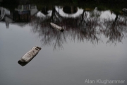 AlanKlughammer.com_20260411-_AZ76660