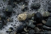 AlanKlughammer.com_20260425-_AZ76813