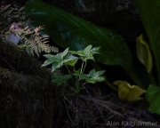 AlanKlughammer.com_20260425-_AZ76923