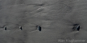 AlanKlughammer.com_20260425-_AZ76942