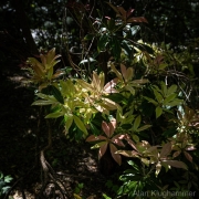 AlanKlughammer.com_20260503-_AZ77096