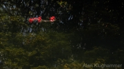 AlanKlughammer.com_20260503-_AZ77136