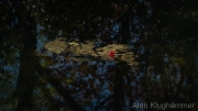 AlanKlughammer.com_20260503-_AZ77137