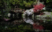 AlanKlughammer.com_20260503-_AZ77152