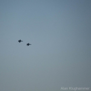 AlanKlughammer.com_20260808-_AZ78144